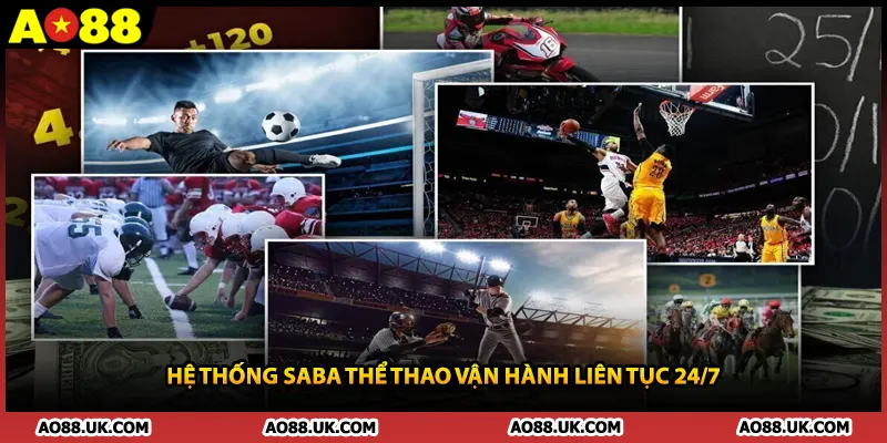 Hệ thống SABA thể thao vận hành liên tục 24/7