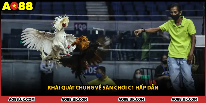 Khái quát chung về sân chơi C1 hấp dẫn