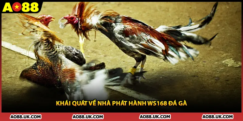 Khái quát về nhà phát hành WS168 đá gà