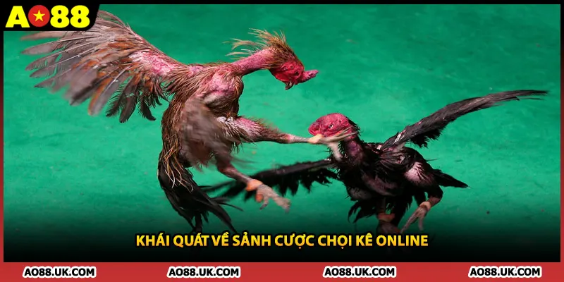 Khái quát về sảnh cược chọi kê online