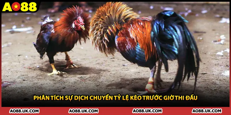 Phân tích sự dịch chuyển tỷ lệ kèo trước giờ thi đấu