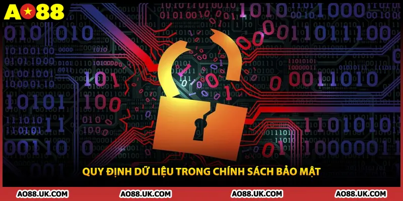 Quy định dữ liệu trong chính sách bảo mật