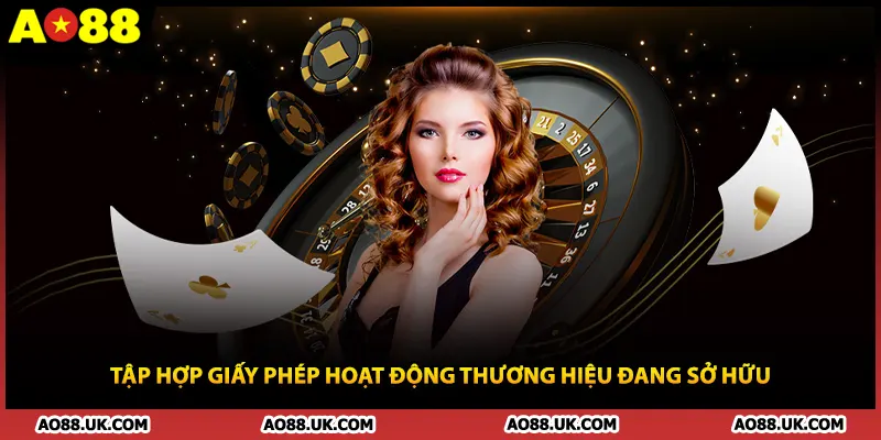 Tập hợp giấy phép hoạt động thương hiệu đang sở hữu